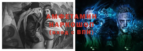 apvp Бородино
