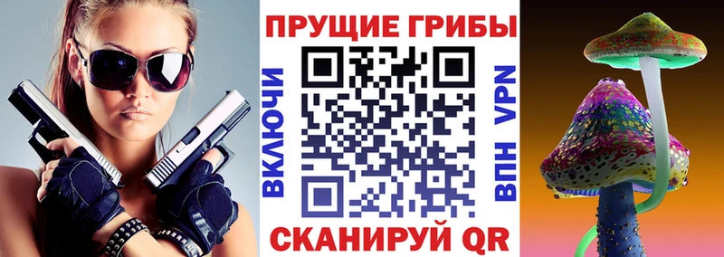 купить   Кисловодск  blacksprut ССЫЛКА  Псилоцибиновые грибы прущие грибы 